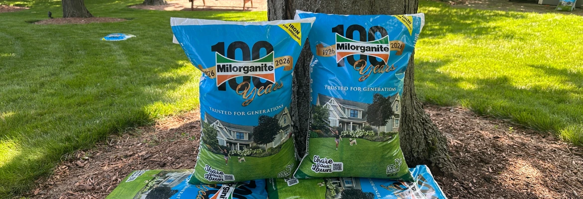 Bags of Milorganite in the yard