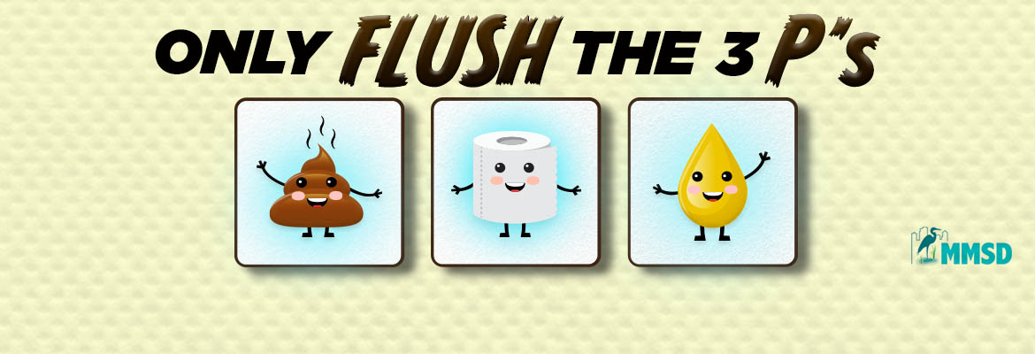 only flush the 3ps graphic