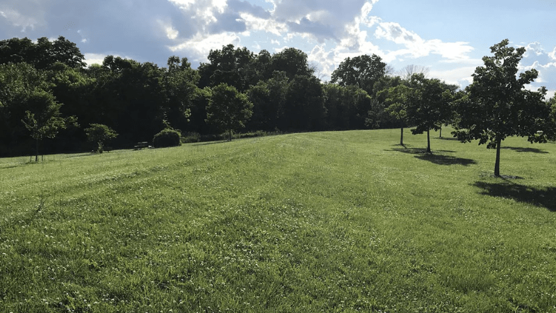 green grass levee in hart park