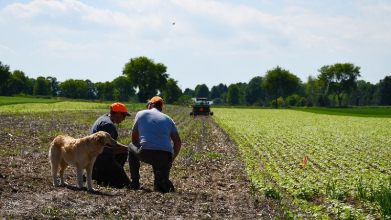 farmers in field working
