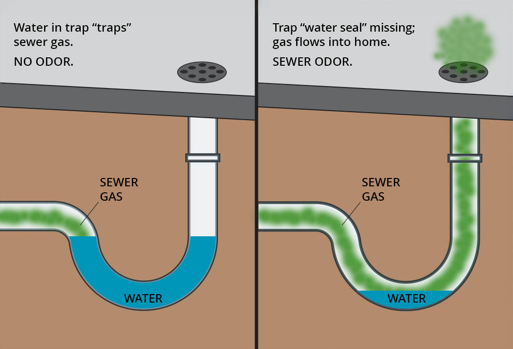 A graphic that shows how a trap in your pluming fixtures can help prevent sewer odors